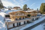 Tiroler Haus mit Bergblick